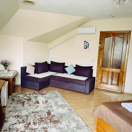 Hotel Delfin Mukacheve Bagian luar foto