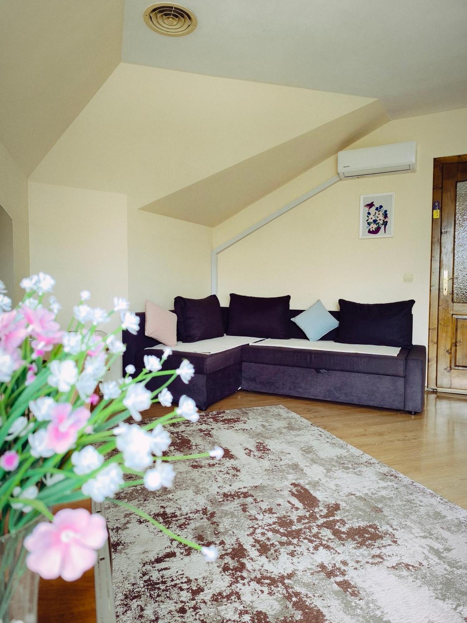 Hotel Delfin Mukacheve Bagian luar foto